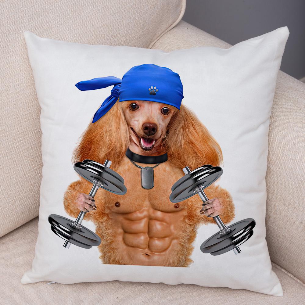 Funny Cat Dog Cushion Cover Fitness Animal Dumbbell Print Soft Fabric Living Room Sofa Home Decor Pillow Case