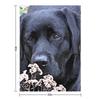 Take Time - Black Labrador Throw Blanket Weighted blankets ands Plaid For Decorative Sofa Blankets