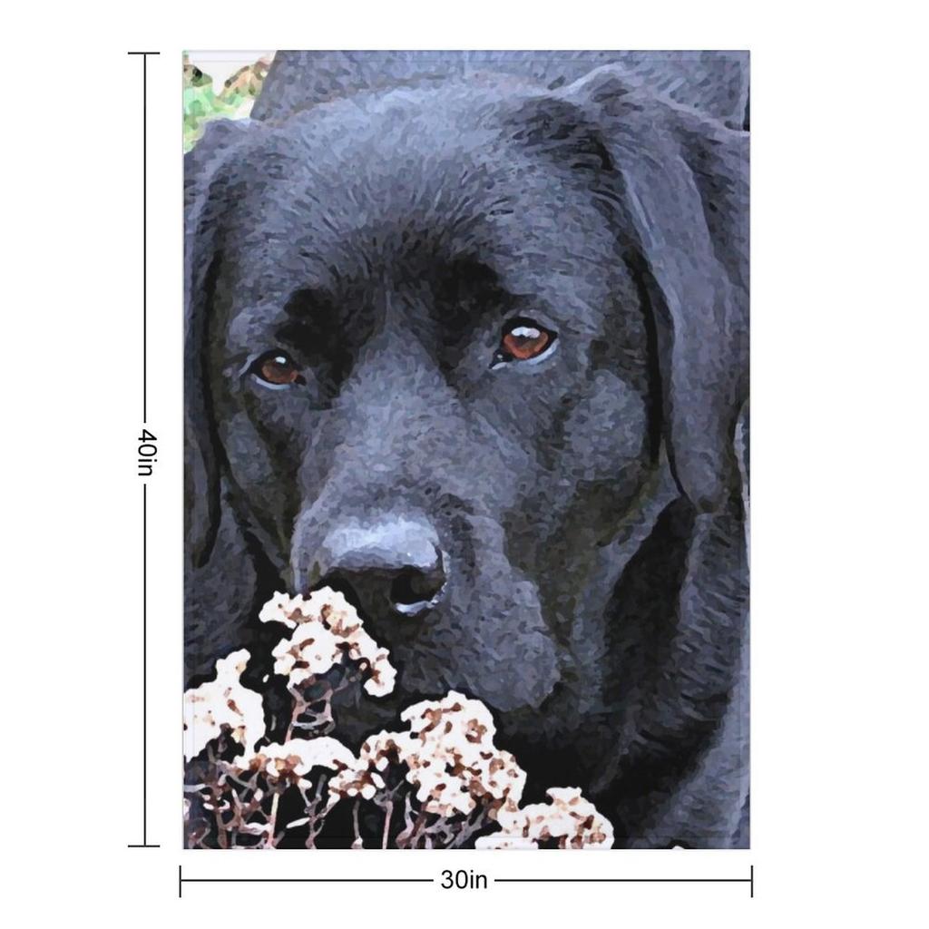 Take Time - Black Labrador Throw Blanket Weighted blankets ands Plaid For Decorative Sofa Blankets