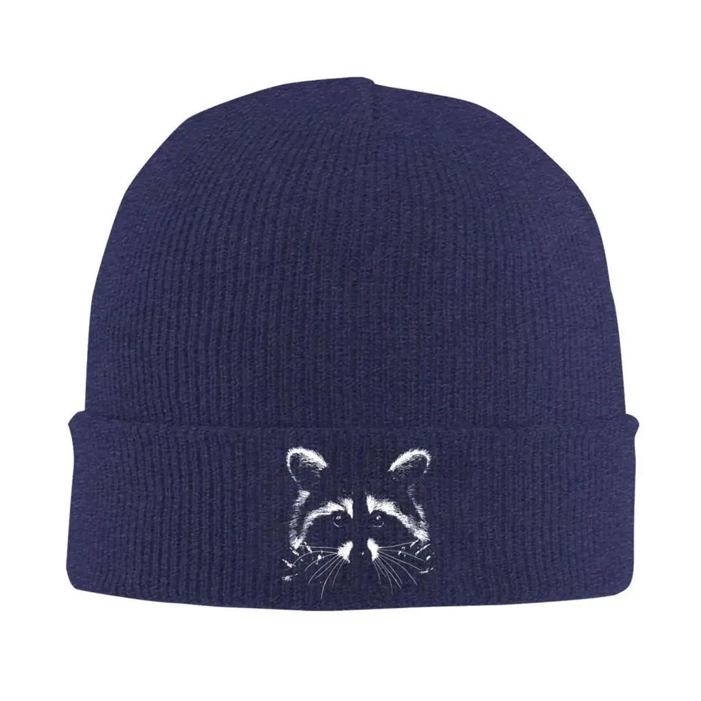Cute Raccoon Bonnet Hats Panda Beanie Hats Design Knitting Hat Autumn Fashion Unisex Women Kpop Warm Cap