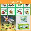 Insect Series Dragonflies Ladybugs Educational Building Blocks With Abs Plastic And Diy Fun For Kids