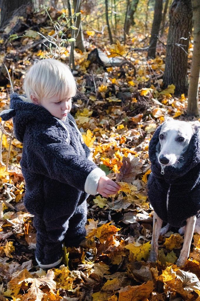 Woolen Dog Vest - Charcoal 7