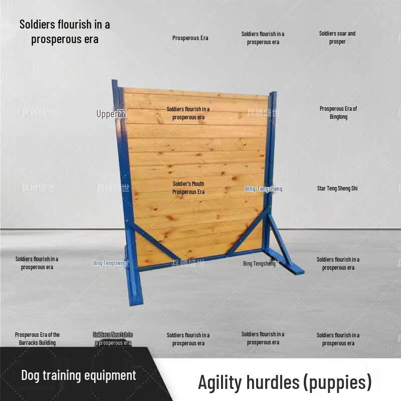 Bingteng Shengshi Outdoor Dog Training Obstacle Set