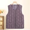 Vest Women's Vest High-end Short Vest Spring and Autumn Wear Down Cotton Clothes Winter Women's Vest