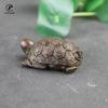 Ретро Медная Китайская Гадательная Черепаха Статуэтка Настольное Украшение Винтажные Миниатюры Черепахи Фигурки Аксессуары для Домашнего Декора