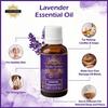 Exotic Aromas Lavender Essential Oil for Aroma Therapy, Stress Relief, Hair, Skin (15Ml + 15Ml) Pack of 2