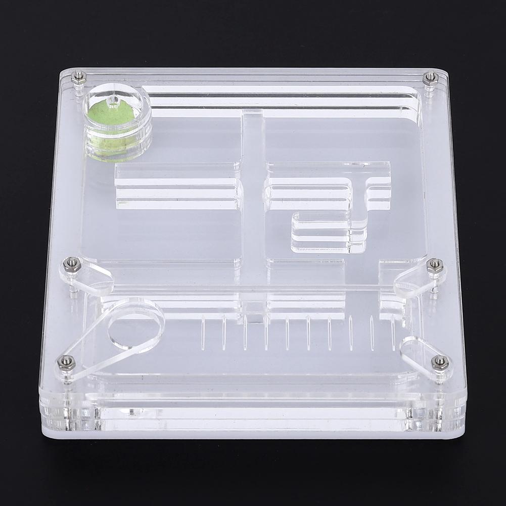 Acrylic Transparent Ant Breeding House Nest Formicarium Display Box Ornamental