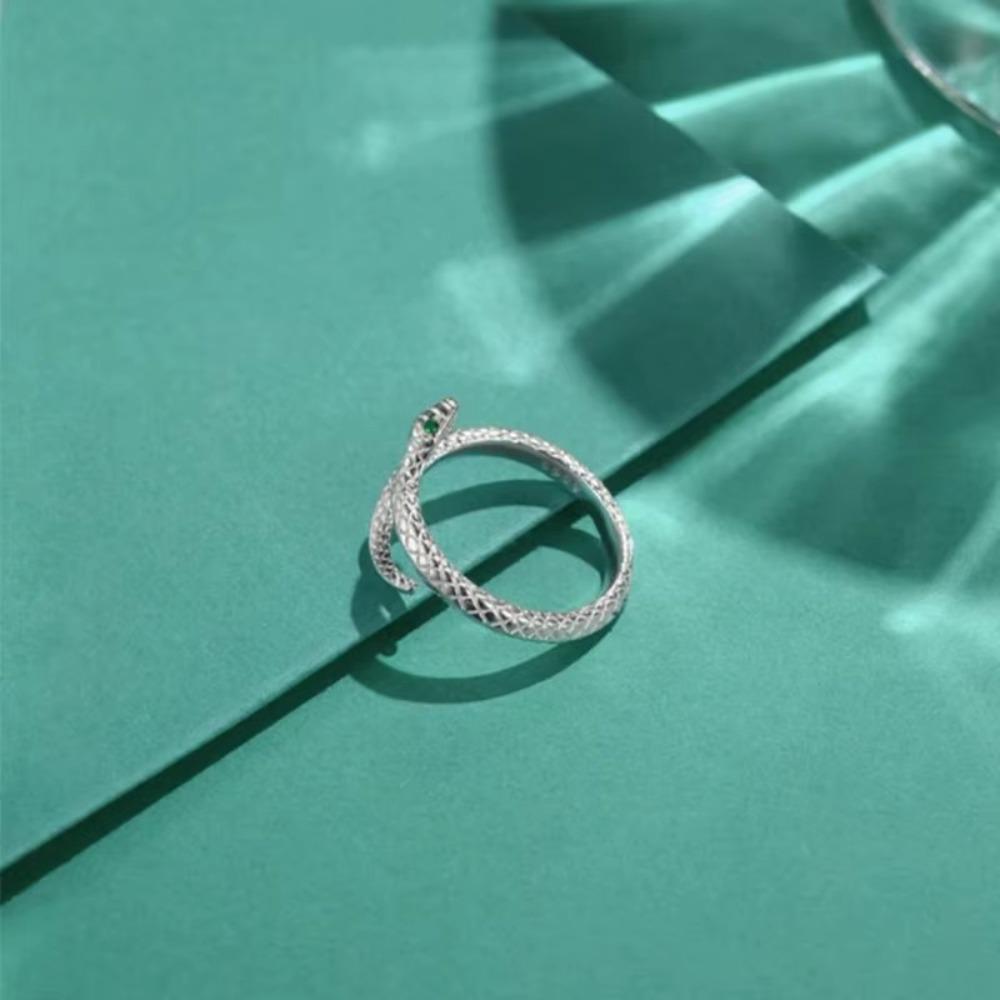 Подарки Змея Открытые Браслеты-манжеты Модные Змея Кольцо и Серьги-гвоздики Модный браслет в форме змеи Друг