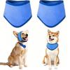 Summer Outdoor Dog Cooler Cooling Bandana, Breathable Self-Cooling Neck Wrap, Pet Cold Water Activated Bandana Cooler, Heatstroke Prevention Kerchief