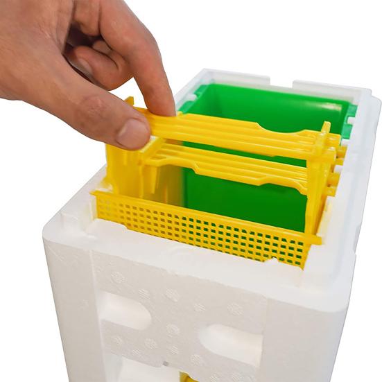 Пенопластовый ящик для спаривания маток, ящик для выведения маток, аксессуар для размножения, оборудование для пчеловодства для улья, разведение пчел