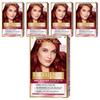 L'Oréal Paris Excellence Стойкая крем-краска для волос Easy Gray с аппликатором-расческой Нет. 6.54 Светлый Медно-Махагоновый 5 шт