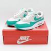 DZ4549-001 Air Max 1 Clear Jade Neutral Grey White Black Green (Мужской)