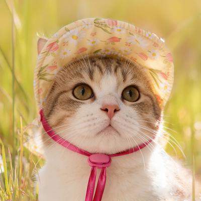 Солнцезащитная шляпа для питомца, дышащая, с цветочным принтом, широкополая, с отверстиями для ушей, регулируемым шнурком, защита от солнца и УФ, для маленьких собак и кошек, декоративная шляпа