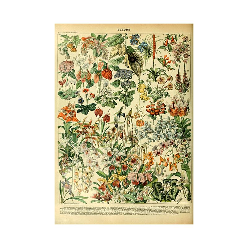 Винтажная ведьма Фрукты Овощи Холст Картина Ретро Цветы Грибы Печать Настенный декор Плакат Для кухни Домашний декор Без рамки