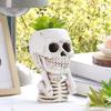 Хэллоуин Череп Кашпо Горшок Смола Скелет Фигурка Цветочный Горшок Крытый Открытый Суккуленты Растения Контейнер Домашний Балкон Сад Украшения