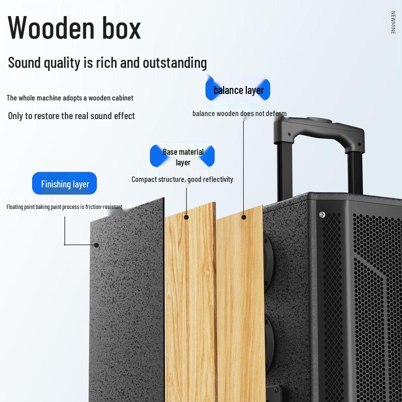 Портативная Bluetooth KTV колонка Newmine N527 15 дюймов (Китайская версия)