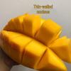 Premium Fresh Mangoes