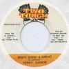 7-дюймовая пластинка TERRY GANZIE - Body Good & Great НИКАКОЙ Два Крутых Ямайский Регги, Ска и Даб Б/У