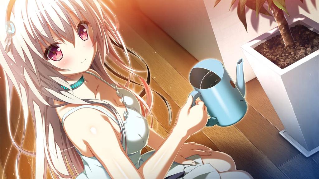 Torino Line Completely Limited Edition Acrylic ornament included -Switch [Bonus]