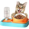 ROBOT PLAZA Pet Food Bowl, Anti-Slow Eating, 15 Degree Inclined, Water and Feeding, Cat Bowl, Pet Bowl for Dogs and Cats