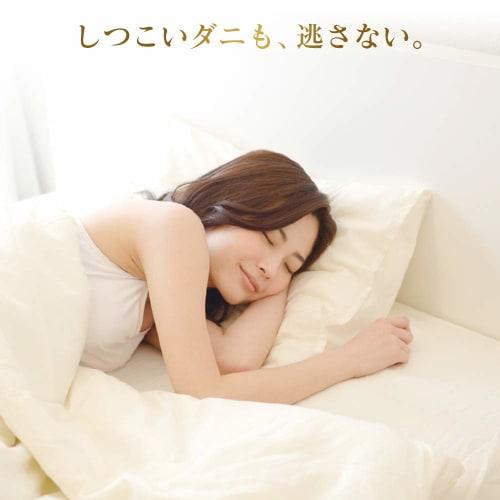 IRIS OHYAMA Futon Dryer Futon Dryer Dust Mite Repellent Kararie Mite Repellent Futon Drying Bag FK-DGB1