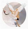 Stickers Crane Birds For Clothing Clothes Decor Embroidered Applique Sew On Patches Embroidery