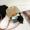 2025 Summer New Straw Bag Mobile Phone Bag Messenger Bag Fashion Foreign Style Niche Woven Bag