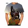 Новая Мода Лошадь 3D Принтованные Мужские и Женские Футболки Животное Лошадь Принтованные Повседневные Свободные с Коротким Рукавом Размер XS-5XL