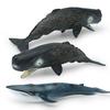 Simulation Of Marine Animals 2 Whale Models Children'S Cognition Of Underwater Creatures Sperm Whale Blue Whale Static Ornament