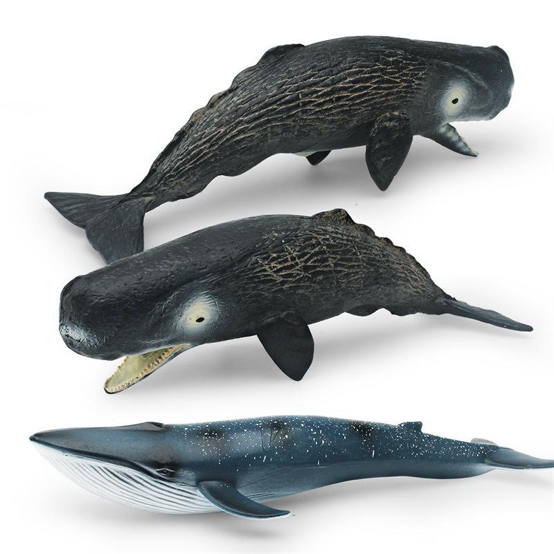 Simulation Of Marine Animals 2 Whale Models Children'S Cognition Of Underwater Creatures Sperm Whale Blue Whale Static Ornament