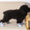 Cute Multi-Color Waterproof Non-Slip TPE Dirt Resistant Reptile Shoes