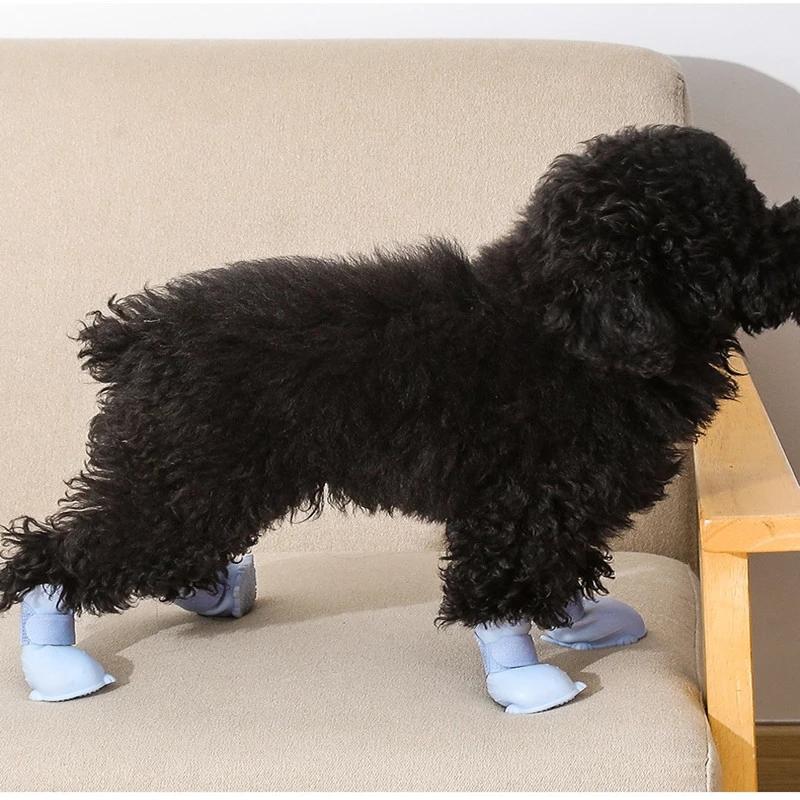 Cute Multi-Color Waterproof Non-Slip TPE Dirt Resistant Reptile Shoes