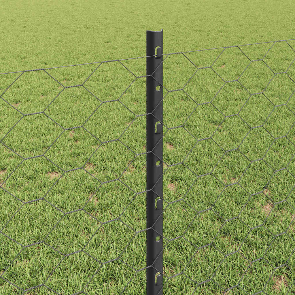 Welded Wire Fence 10 x 0.8 m (W x H)