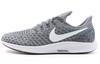 Nike Air Zoom Pegasus 35 'Cool Grey' 942851-005