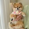 Модный собачий слюнявчик с милым кружевом, слюнявчик для щенков, шейный платок, аксессуары для домашних животных для собак, шарф