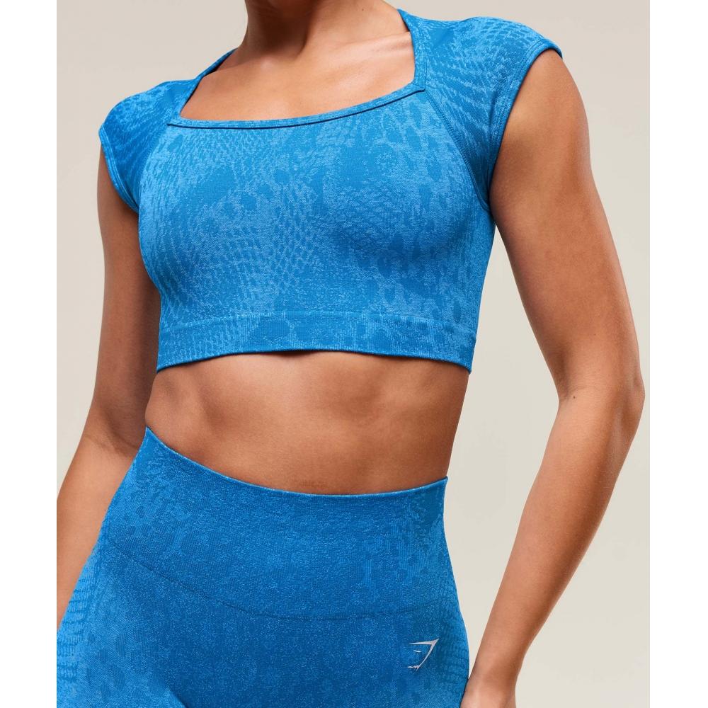 Gymshark Адаптировать X Whitney Animal бесшовный укороченный топ со штангой синего цвета нежно-голубого цвета B3b2h Uddp