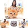 Soft And Huggable Cat Cushion Short Plush Material Customizable Design