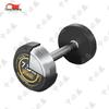 Zhongbisheng PEV Pure Steel Core Dumbbell Sets for Home Fitness