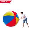 Летние сувениры Детские игрушки Плавательный бассейн Водные игры Воздушный шар Надувной пляжный мяч Воздушные шары из ПВХ