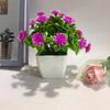 Fake Miniature Daisy Plant Decor With Plastic Craftsmanship For Living Spaces