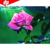 5d Diamond Painting Full Drill Round Plant Pictures With Rhinestones Diamond Embroidery
