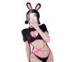Cat Cosplay Sexy Erotic Bunny Girl Cute Extreme Popular Babydoll Bunny Costume Leotard Reverse Bunny High Leg Bodysuit Anime Lolita Underwear Costume
