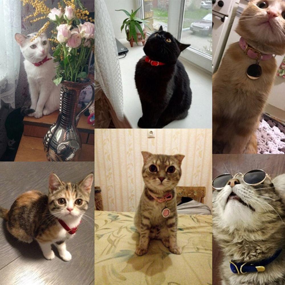 Durable Cat Collars Adjustable Cat Tie High Quality Kitten Necklace Cat Dog