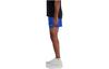 New Balance RC SHORT 5 Повседневные шорты Мужские Синие MS41286-BUL