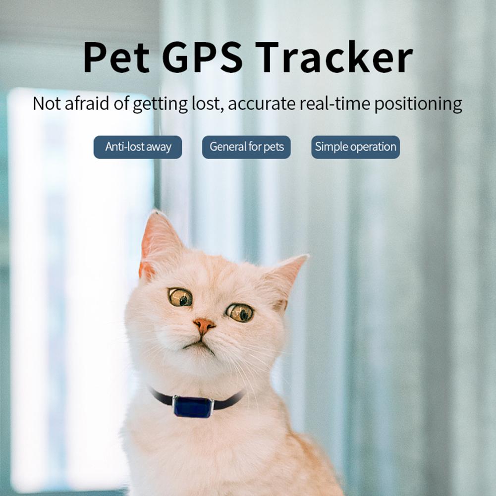 G12 GPS-трекер-локатор Носимый умный ошейник Локатор для отслеживания питомца Водонепроницаемый IP67 Запись о пропаже Многофункциональный для кошки собаки