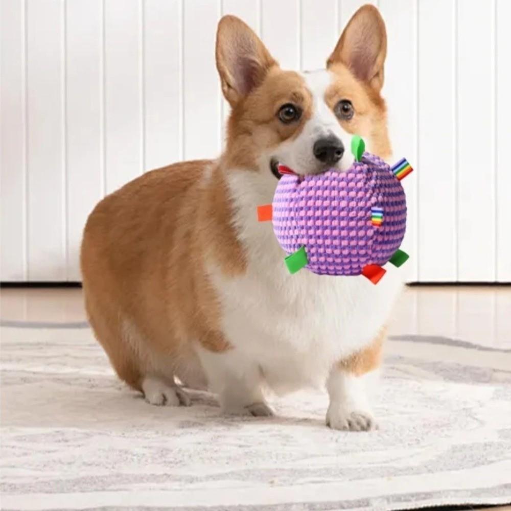 Creative Squeaky Dog Toy Bite-resistant Wear-resistant Plush Dog Vocal Toy Ball Portable 17cm Plush Tug-of-war Toy