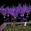 Solar-Powered Lavender LED Lights, Outdoor Waterproof Fairy Garden Decor, Floral Lawn Stake Lights for Yard Pathway Landscape Decoration