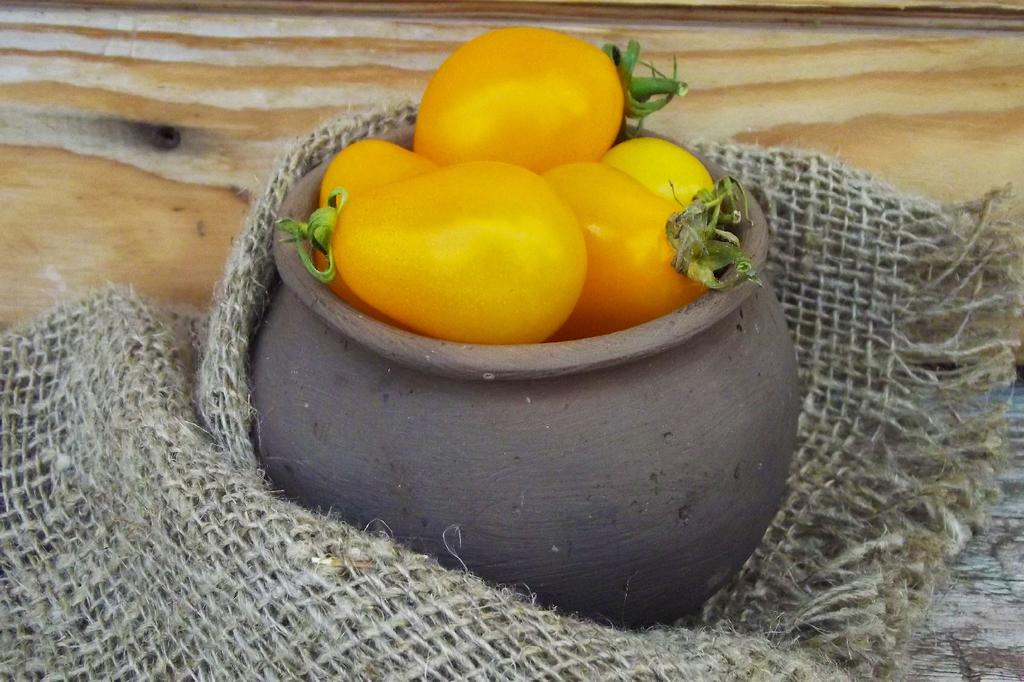 SAFLAX Сад в сумке - Органический - Помидор - Yellow Submarine - 10 семян - С субстратом в подходящем стоячем мешке - Solanum lycopersicum