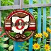 Футбольная металлическая жестяная табличка Ohio State Buckeyes Винтажный декор для стены спортивного бара Домашний офис Мужская берлога Подарок