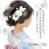 JZOON Hair Ornaments for Dried and Solar Popular Hair Accessories for Photo and Japanese Perfect for and Set In White and Y1704 Coming-of-Age